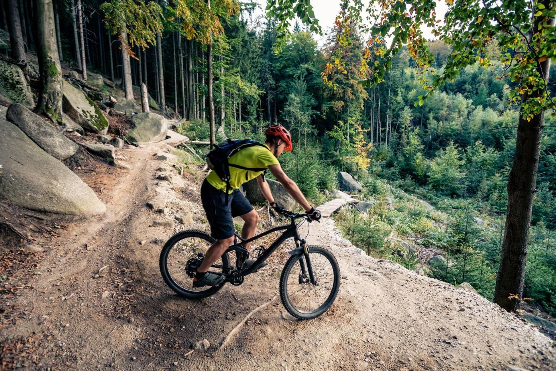 Elements Hotel&Spa Świeradów-Zdrój Екстериор снимка A mountain biker riding a trail